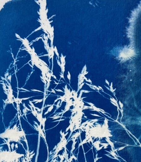 Cyanotype cards